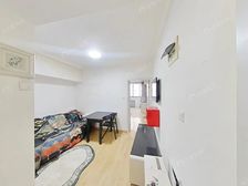 全明户型一室一厅、楼层好、看房有钥匙,新普陀+梅陇