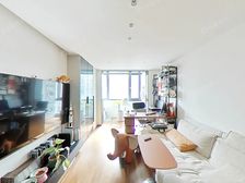 双南大两房+出行方便+岚皋路镇坪路站