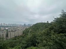 万科颐府 临涯双拼 单层面积200平 随时看房