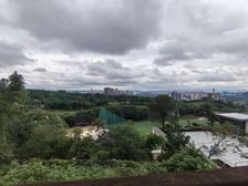 临涯独栋 一线高尔夫视野 2+2全采光花园800平 必看保真