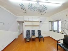 景观房陆家嘴三件套,世博全景观,满分房源,近轨交双轨