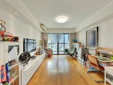 星湖花园电梯洋房,后排大边户 视野开阔 保养很好!