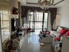 中大紫都位置好、格局棒、随时入住