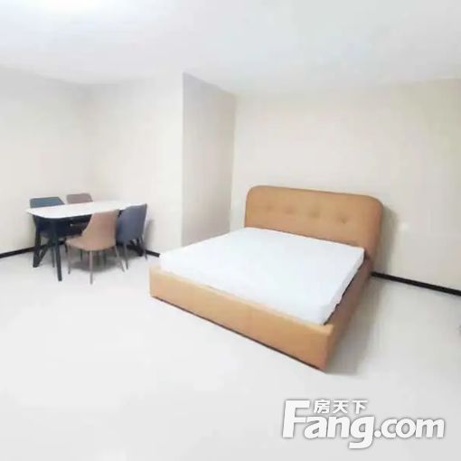 新华联国花园(公寓) 1室1厅 南 精装