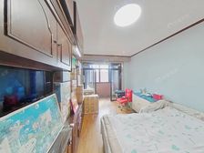 中山公园|愚园路一小|双南双阳台|诚售价可谈|各付各税|约看