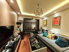 急50万可按揭!仅契税!近地铁!树蓓街1号1