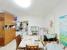 上实东旁 低总价 带花园 全明房型 可兼顾自住 配套成熟