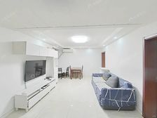 新上大三房 满五 看房方便 6+12号线双轨 嘉里旁