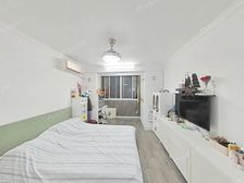 上南九村 适居一室一厅 精装南北通 正气好房 花园位置