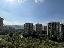 霸道视野 可看江 巴滨路龙湖森镜 洋房正规4房 中间楼层