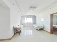 2011年,徐汇内环边南北通板式两房,房东诚意出售,看房随时