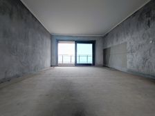 一线湖景 双地铁照母山光环 带书 包 碧桂园中俊天玺