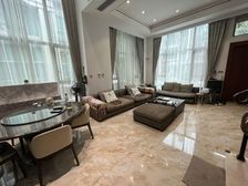 蕞新挂牌丨豪华装修 满5年维一 业主出国诚售 图片即实房