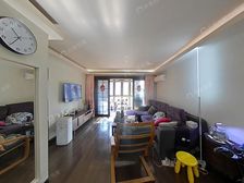 飞机户型+带大露台 业主直降50万诚意出售+出国出国