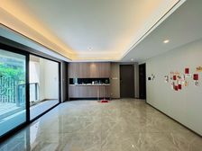 中央公园龙湖天街旁轻轨洋房。前后大花园 绿城春溪雲庐 保真