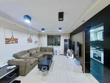 三林世博家园 精装两房 南向中层 满五住宅