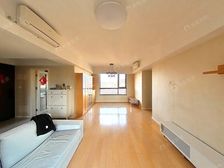 边户南北通两卫 电梯景观楼层 在家观陆家嘴三件套!有产权车位