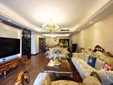 带,鲁能星城大平层,看龙头寺公园