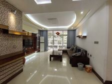 半岛荔园家门口柳沙公园