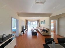 全明户型,南北通,飞机户型,视野+采光佳+诚意出售