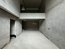 源 南岸轻轨旁 叠拼别墅 安静不临街