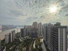 半山豪宅 板式大平层 高区看江无遮挡 看游轮母港 房源保真