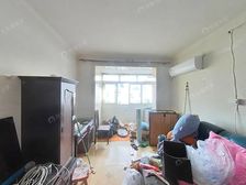 新上 高区 南北二房 低总价 业主诚售