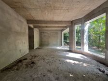 新牌坊 龙湖香樟林 临湖独栋 视野开阔 门口轻轨站