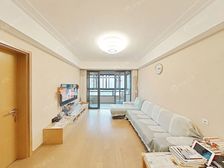 内环旁!中高区全明房型,格局正气,视野开阔没遮挡,满五惟一!