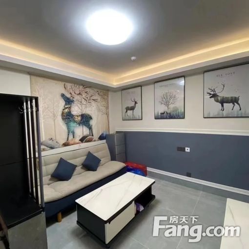 北湖商圈 华润万象华府 温馨两房 干净整洁 温馨舒适 配齐