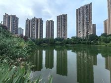 端户联排 临湖 视野好 现代轻奢装修保持95新 房源保真