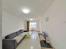 望京北 后沙峪 花梨坎地铁15号线 中粮祥云小镇 采光好