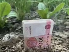 专注性价比奥园观庭 银墅湾上叠300平只要300万出头带电梯