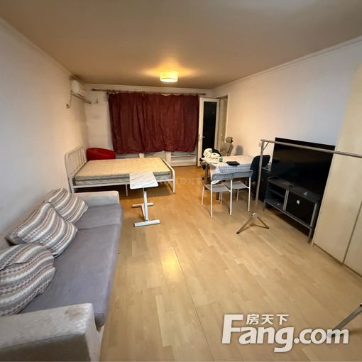 整租·团结湖·团结湖公寓·1室·1厅