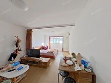 Î÷ËÄ»·ÄÏ·50ºÅÂ¥ 53.29ƽ2¾Ó Äϱ±Ïò¾«×°ÐÞ ·½±ã¿´·¿