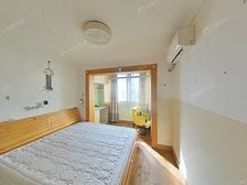 采光好到爆Z的大一房,南北通带大阳台,刚需必看