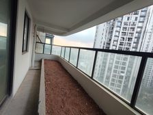 东盟一手现房青山府 一梯一户大平层 楼层可选价格可聊随时看房