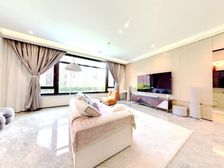 玖玺城 复式带花园 3米3层高 使用面积400平