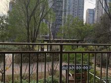 不临街不临路中间楼栋,楼间距大