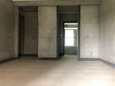 两江新区 碧桂园中俊天玺 四房 308万