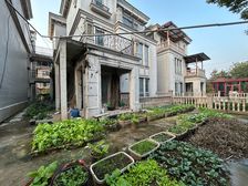 590万 金开大道 美利山 山顶类独栋 带电梯 视野开阔