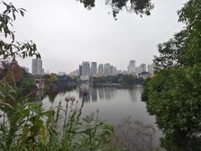 传奇永不过时 龙湖香樟林 一线临湖独栋 带800平花园