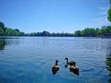 德胜门 积水潭 文创园湿地公园280——1000平可以分租