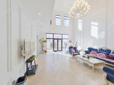 金科天玺,法式独栋,客厅挑空,有电梯,四个车位