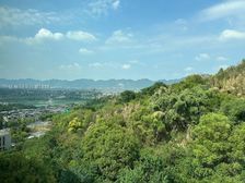 林山郡 看公园视野好 装修99新 拎包入住 必看保真