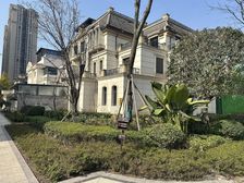 紫檀联排端户 内圈位置 靠大中庭 单层面积140平 5个车位