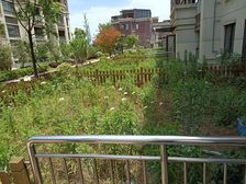 御景园 3房 .0 南北通透,采光充足,视频房