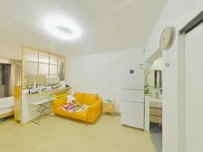 紫阳花苑 南北户型 小盆友未用书包 4楼楼层好