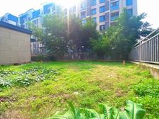 150平端户大花园 融信澜湾 花园洋房 南北通透 随时看