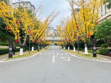 壹号湖畔内圈大中庭洋房,看大中庭,横厅,中央空调、地暖齐全